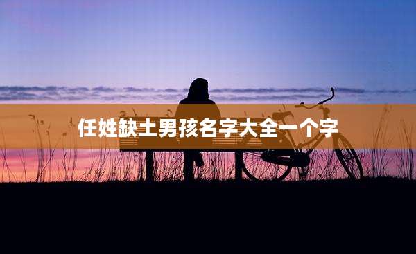任姓缺土男孩名字大全一个字