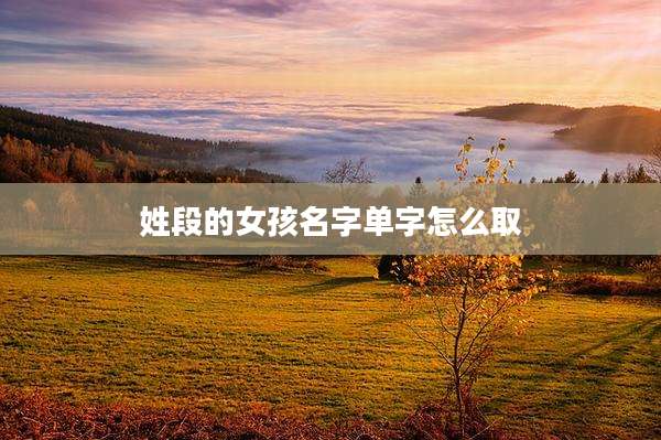 姓段的女孩名字单字怎么取