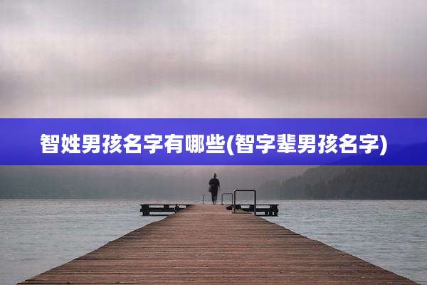 智姓男孩名字有哪些(智字辈男孩名字)