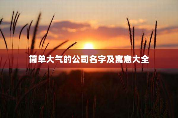 简单大气的公司名字及寓意大全