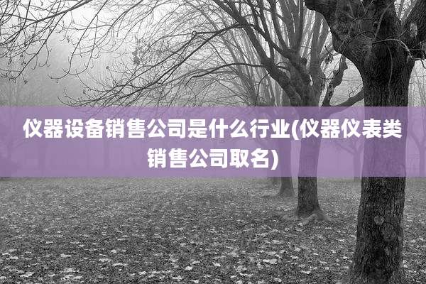 仪器设备销售公司是什么行业(仪器仪表类销售公司取名)
