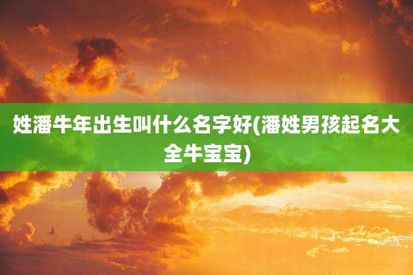 姓潘牛年出生叫什么名字好(潘姓男孩起名大全牛宝宝)