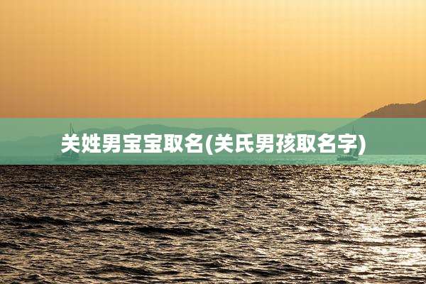 关姓男宝宝取名(关氏男孩取名字)