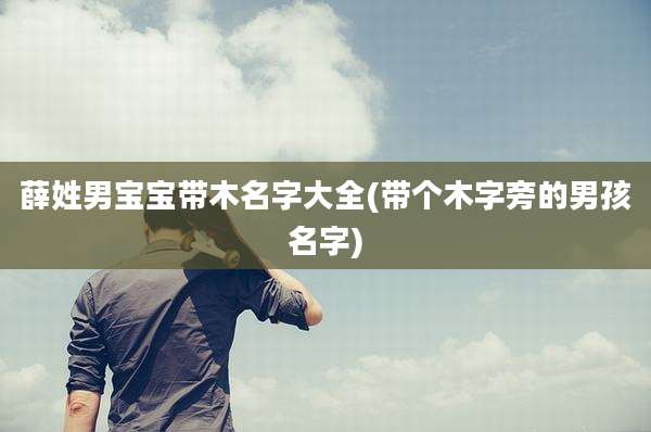 薛姓男宝宝带木名字大全(带个木字旁的男孩名字)