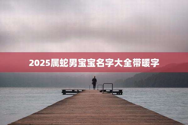 2025属蛇男宝宝名字大全带暖字