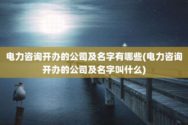 电力咨询开办的公司及名字有哪些(电力咨询开办的公司及名字叫什么)
