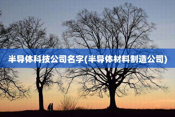 半导体科技公司名字(半导体材料制造公司)