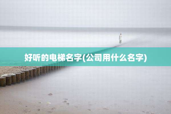 好听的电梯名字(公司用什么名字)