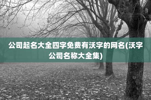 公司起名大全四字免费有沃字的网名(沃字公司名称大全集)