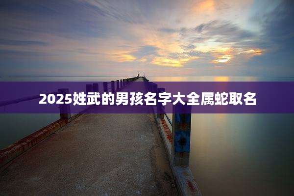 2025姓武的男孩名字大全属蛇取名