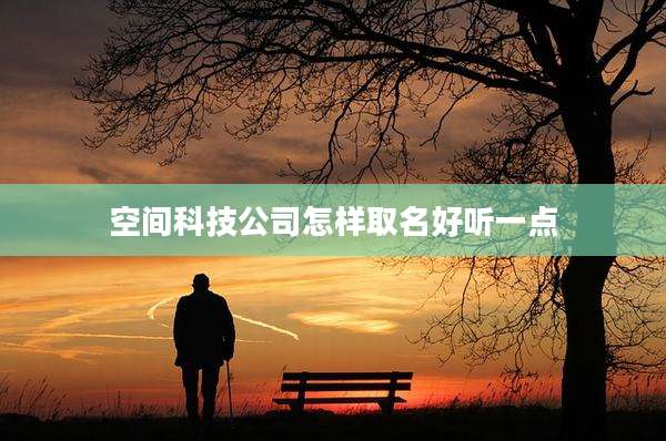 空间科技公司怎样取名好听一点
