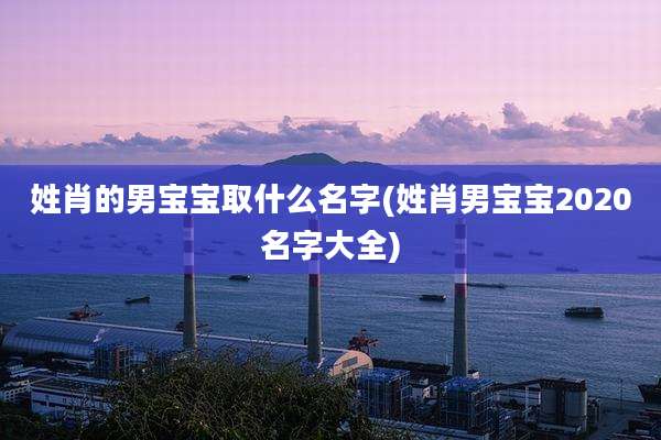 姓肖的男宝宝取什么名字(姓肖男宝宝2020名字大全)