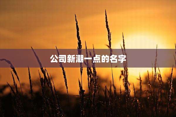 公司新潮一点的名字