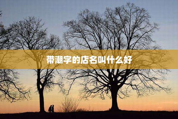 带潮字的店名叫什么好
