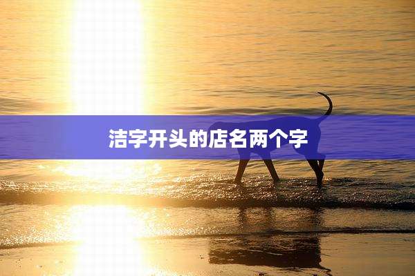 洁字开头的店名两个字
