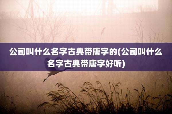 公司叫什么名字古典带唐字的(公司叫什么名字古典带唐字好听)