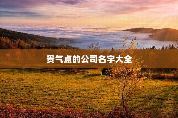 贵气点的公司名字大全