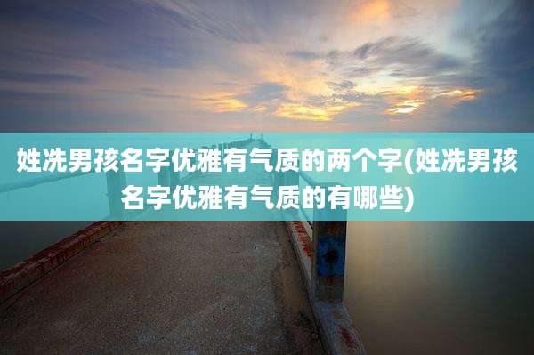 姓冼男孩名字优雅有气质的两个字(姓冼男孩名字优雅有气质的有哪些)
