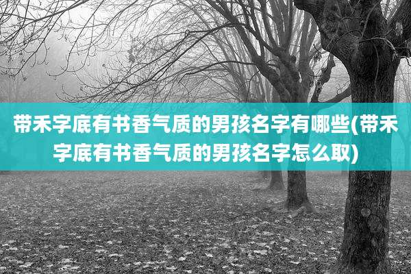 带禾字底有书香气质的男孩名字有哪些(带禾字底有书香气质的男孩名字怎么取)