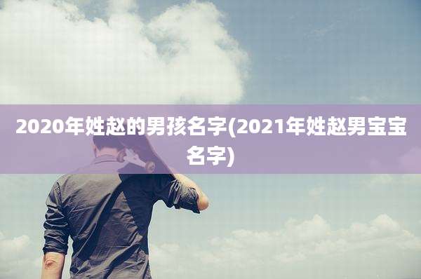 2020年姓赵的男孩名字(2021年姓赵男宝宝名字)