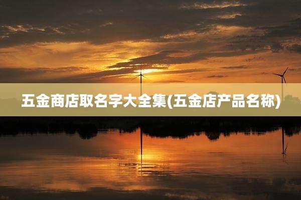 五金商店取名字大全集(五金店产品名称)