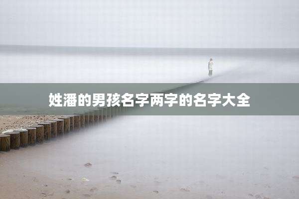 姓潘的男孩名字两字的名字大全