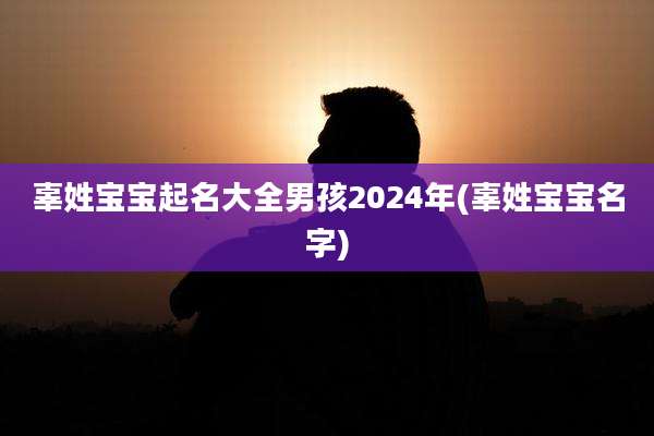 辜姓宝宝起名大全男孩2024年(辜姓宝宝名字)
