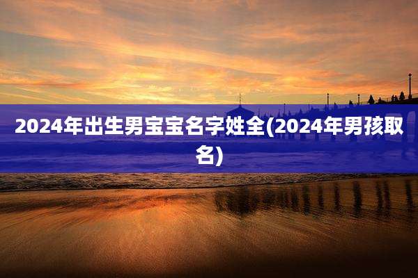 2024年出生男宝宝名字姓全(2024年男孩取名)
