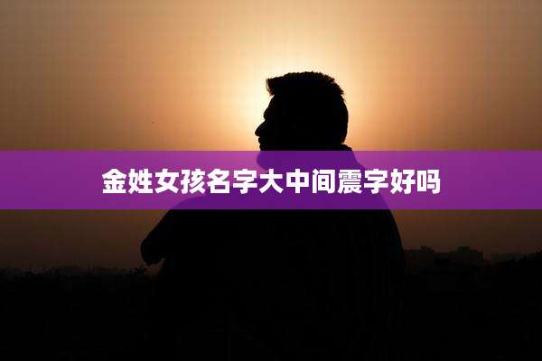 金姓女孩名字大中间震字好吗