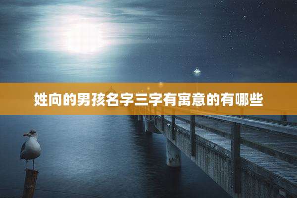 姓向的男孩名字三字有寓意的有哪些