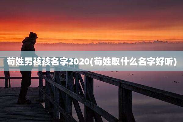 苟姓男孩孩名字2020(苟姓取什么名字好听)