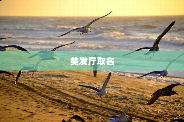 美发厅取名