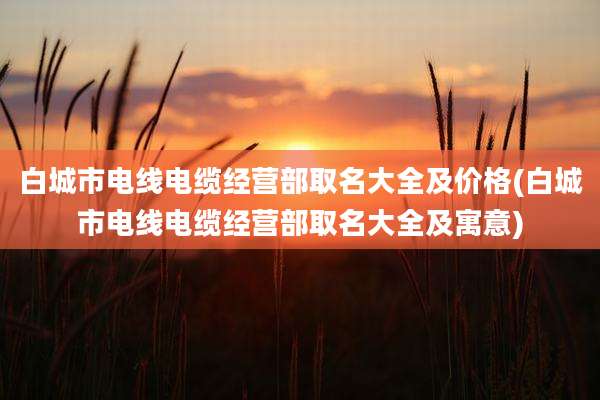 白城市电线电缆经营部取名大全及价格(白城市电线电缆经营部取名大全及寓意)