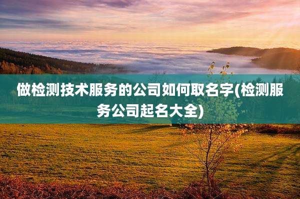 做检测技术服务的公司如何取名字(检测服务公司起名大全)