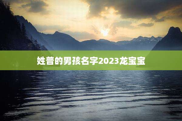 姓普的男孩名字2023龙宝宝