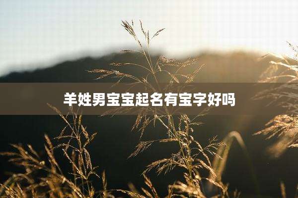 羊姓男宝宝起名有宝字好吗