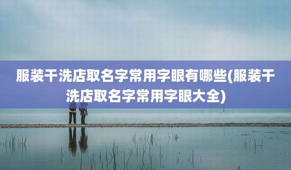 服装干洗店取名字常用字眼有哪些(服装干洗店取名字常用字眼大全)
