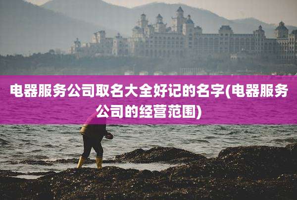 电器服务公司取名大全好记的名字(电器服务公司的经营范围)
