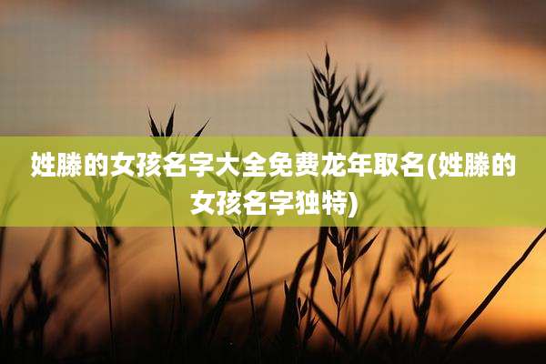 姓滕的女孩名字大全免费龙年取名(姓滕的女孩名字独特)