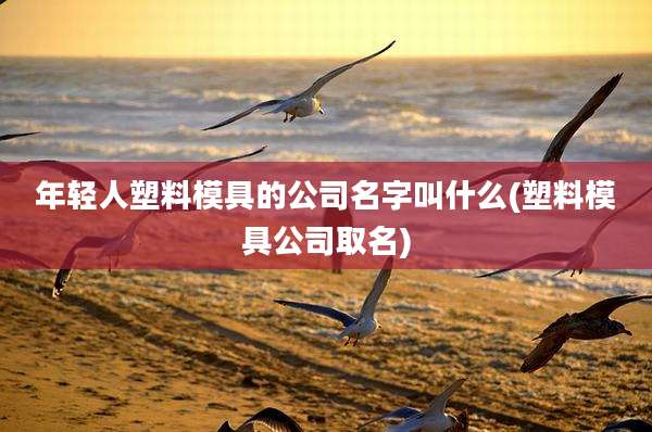 年轻人塑料模具的公司名字叫什么(塑料模具公司取名)