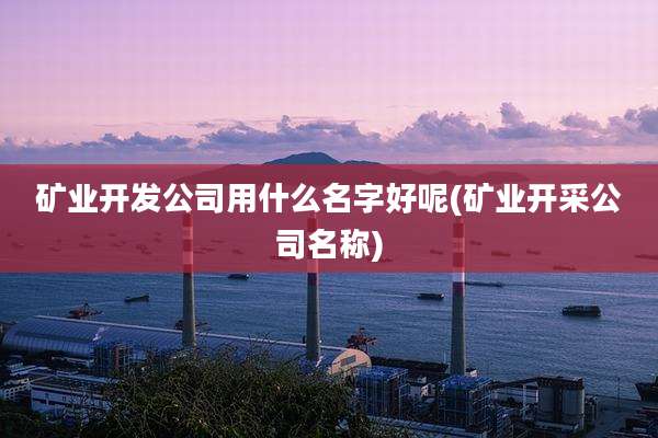 矿业开发公司用什么名字好呢(矿业开采公司名称)