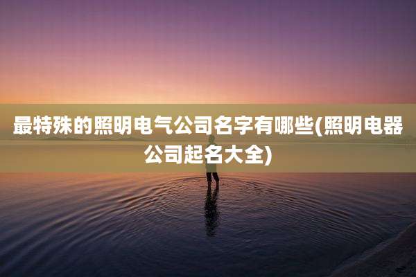 最特殊的照明电气公司名字有哪些(照明电器公司起名大全)