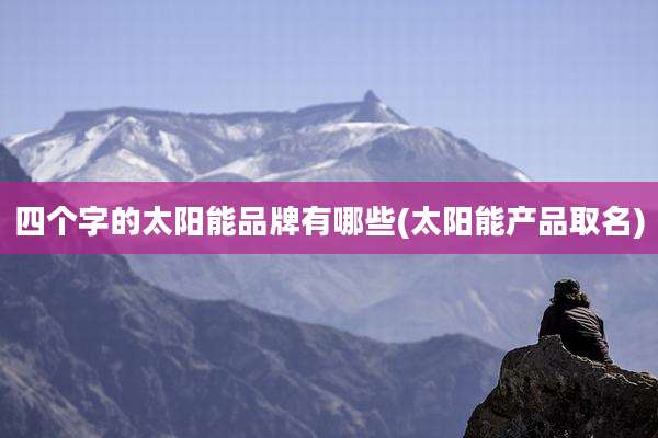 四个字的太阳能品牌有哪些(太阳能产品取名)