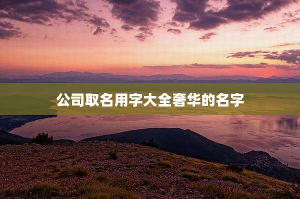 公司取名用字大全奢华的名字
