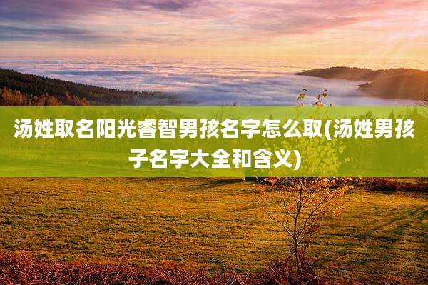 汤姓取名阳光睿智男孩名字怎么取(汤姓男孩子名字大全和含义)