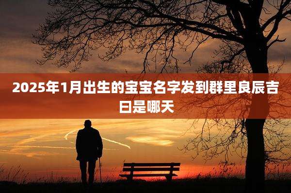 2025年1月出生的宝宝名字发到群里良辰吉曰是哪天