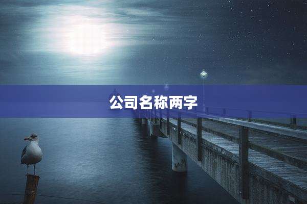 公司名称两字