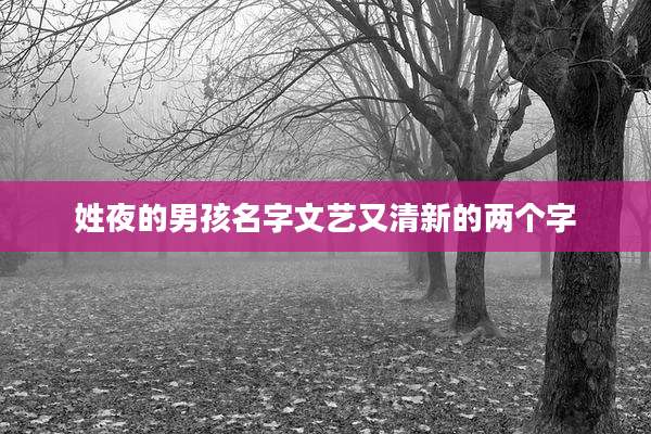 姓夜的男孩名字文艺又清新的两个字