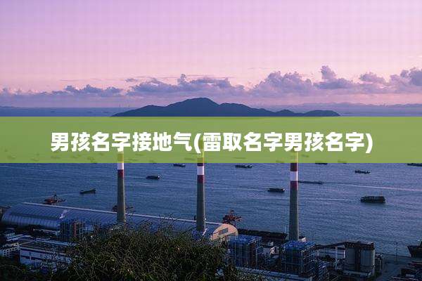 男孩名字接地气(雷取名字男孩名字)