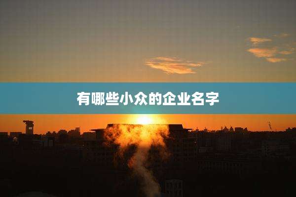 有哪些小众的企业名字